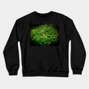 Guinea Crewneck Sweatshirt